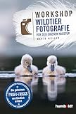Workshop Wildtierfotografie vor der eigenen Haustür: Die geheimen Profi-Tricks verständlich erklärt.